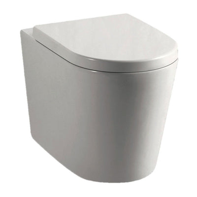 Box Rim Wall Face Floor With R&T G30032 Frameless In Wall Concealed Cistern