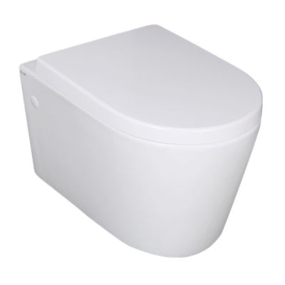 Box Rim Wall Hung Pan With R&T G30031 Framed In Wall Concealed Cistern